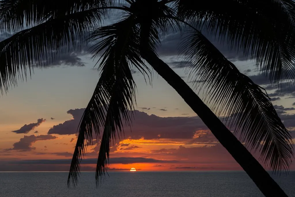 Thala Beach Nature Reserve Hotel Oak Beach Resort