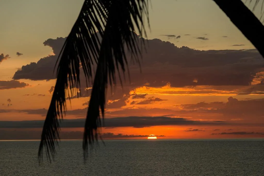 Thala Beach Nature Reserve Hotel Oak Beach