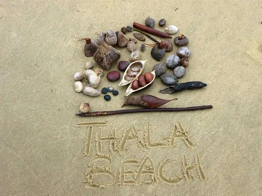 Thala Beach Nature Reserve Hotel Oak Beach 5*,