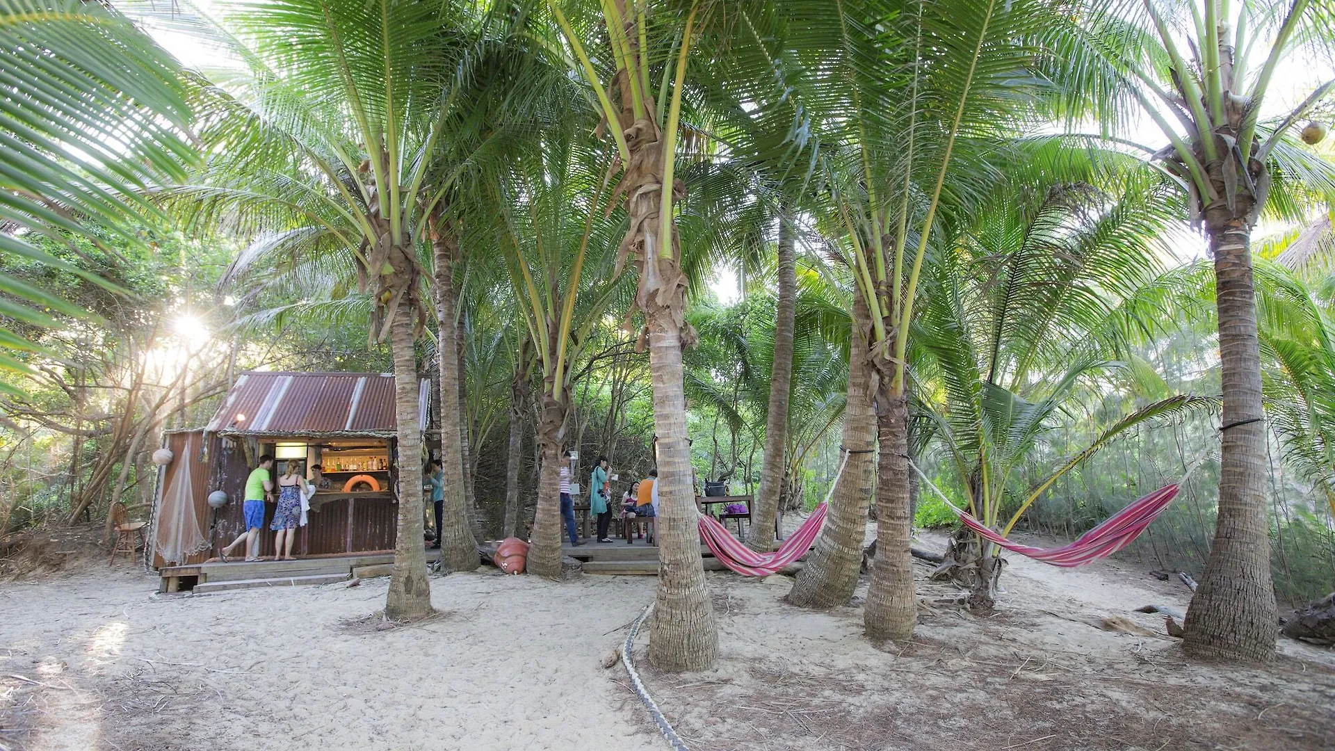 Thala Beach Nature Reserve Hotel Oak Beach 5*,