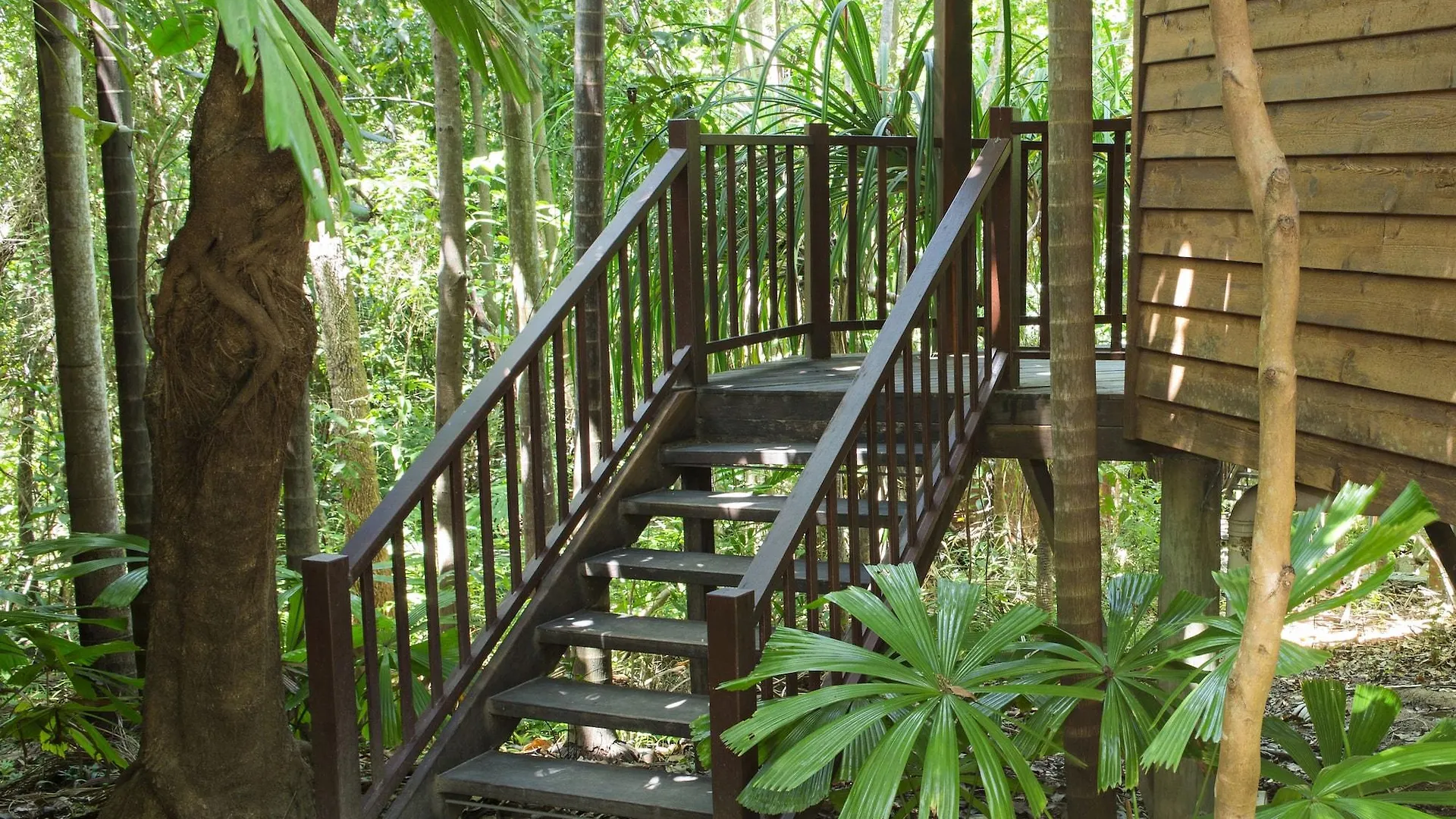 Thala Beach Nature Reserve Port Douglas
