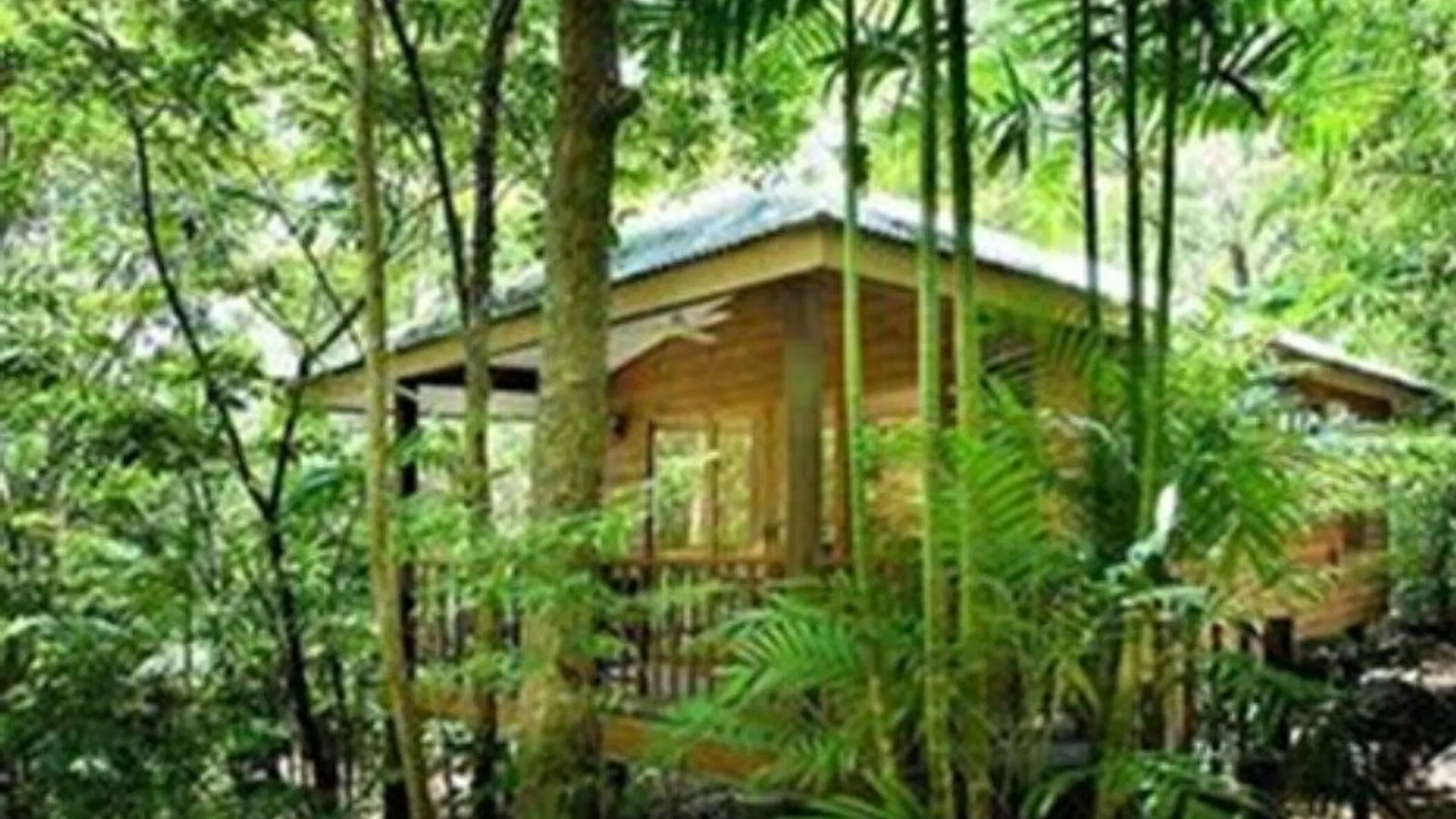 Rezort Thala Beach Nature Reserve Port Douglas