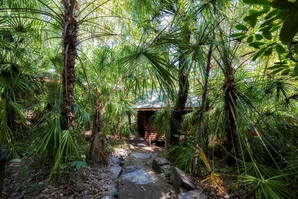 Thala Beach Nature Reserve Port Douglas