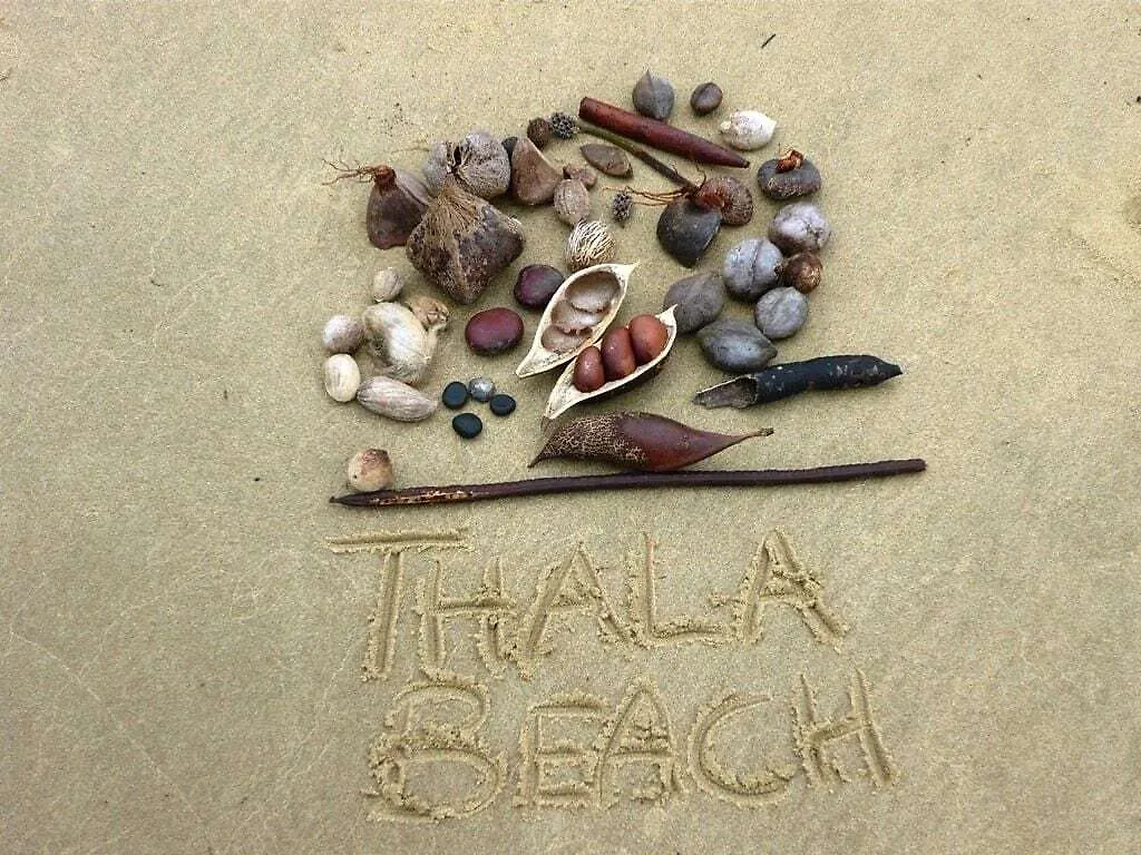 Thala Beach Nature Reserve Port Douglas 5*,
