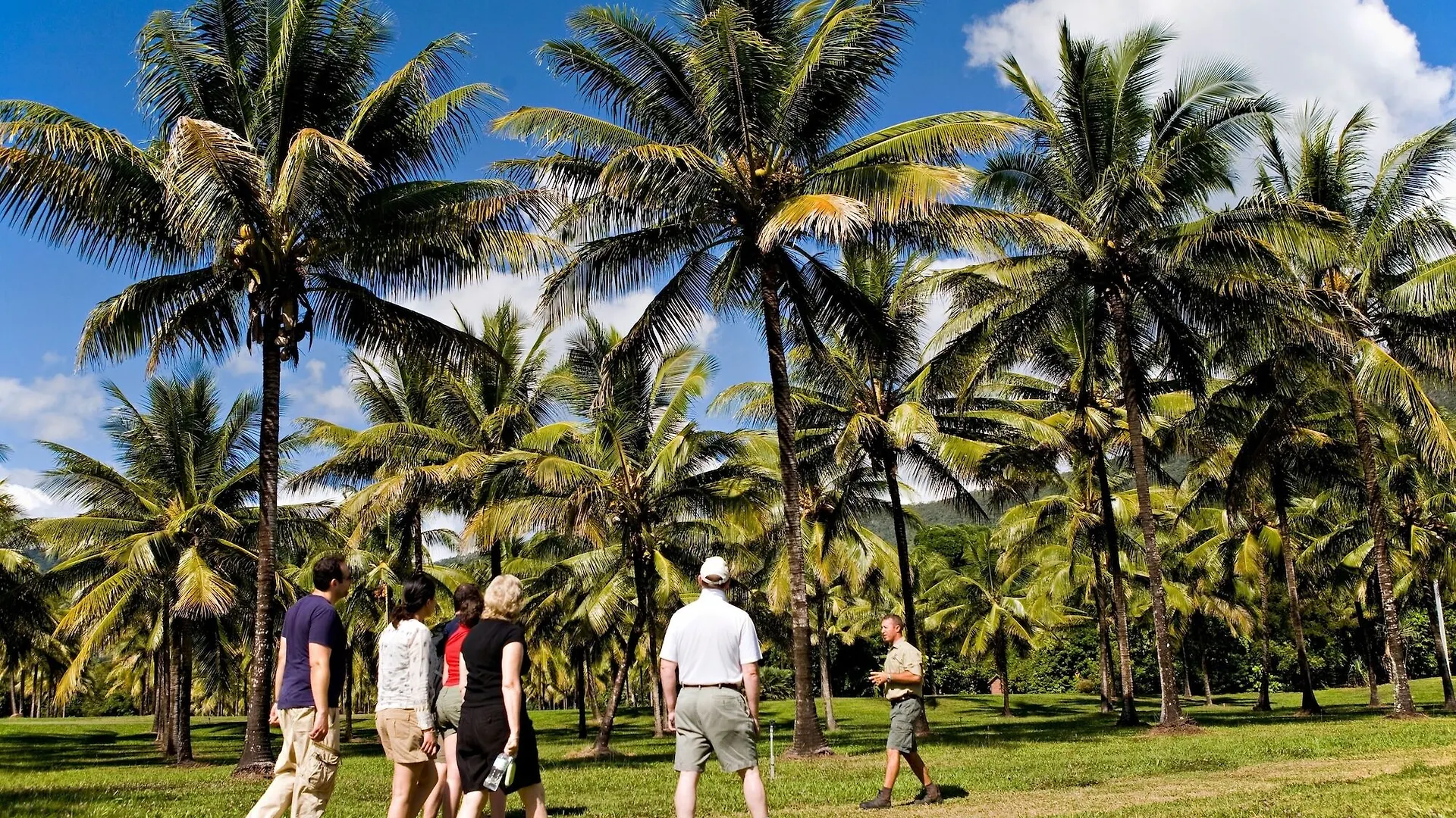 Rezort Thala Beach Nature Reserve Port Douglas